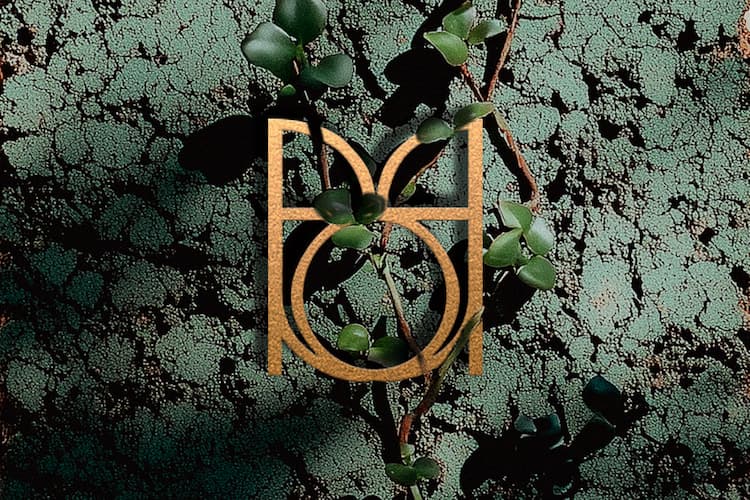 Logo Brume Orpin sur texture végétale avec plante verte